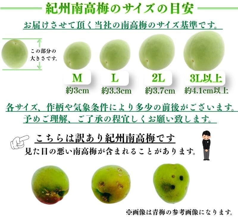 南高梅 生梅 完熟梅 訳あり サイズ混合( L~3L ) おまかせ 和歌山県1kg／2kg／3kg／5kg／10kg うめ ご家庭用 紀州 なんこうばい