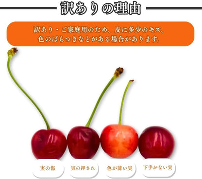 <予約開始> さくらんぼ 訳あり 山形県 700g／1kg／2kg／5kg 品種お任せ <クール便> S～2Lサイズ混合 バラ詰め サクランボ ご家庭用 (6月下旬頃から発送予定)