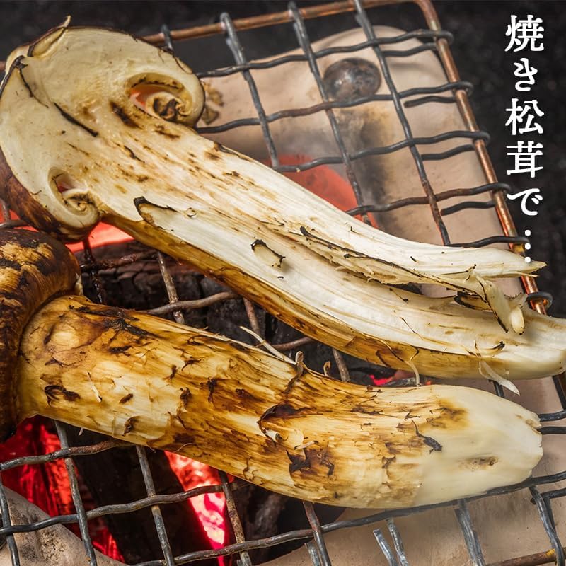 松茸　ご家庭用　100g(約2～4本)／200g／300g／1kg　中国産