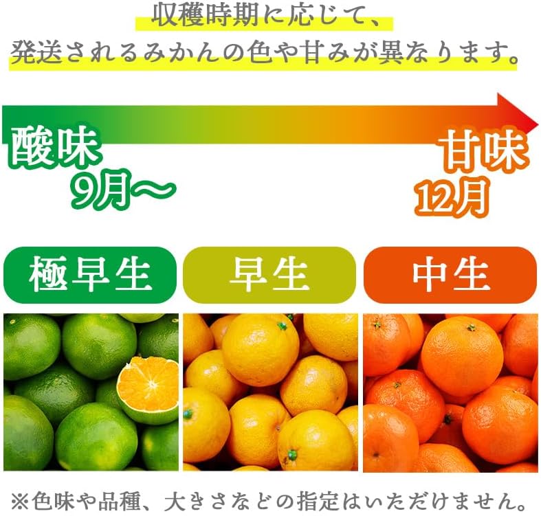 有田みかん　ご家庭用　1.5kg／3kg／5kg／10kg　和歌山県産　【スレ、汚れ、黒点あり】　
