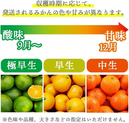 有田みかん　ご家庭用　1.5kg／3kg／5kg／10kg　和歌山県産　【スレ、汚れ、黒点あり】　