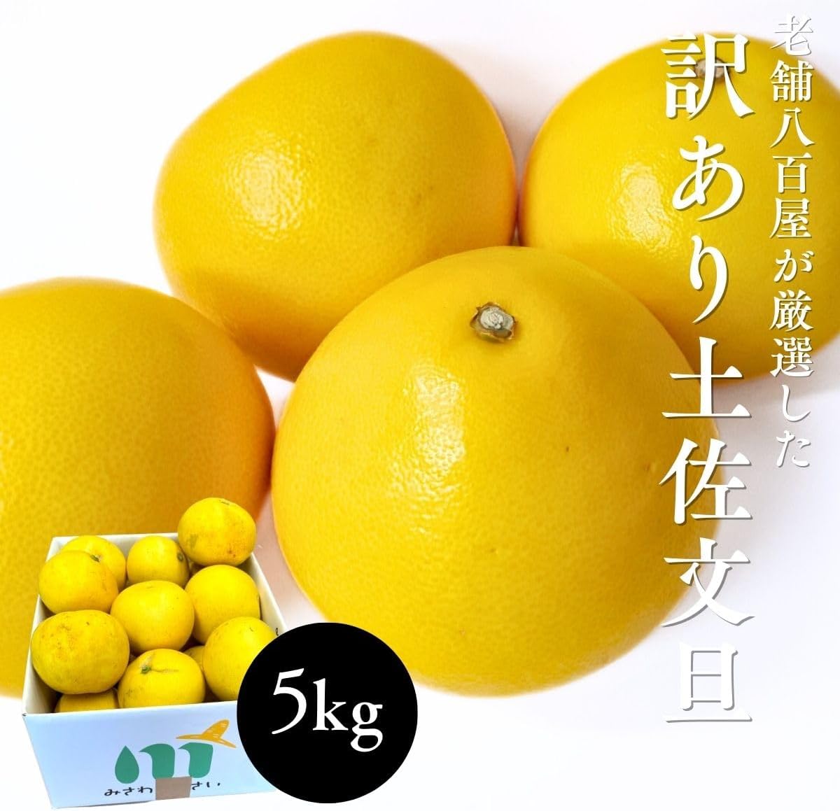 土佐文旦 訳あり サイズお任せ5kg（300g～1kg 約15玉） ／サイズお任せ10kg（300g～1kg 約25玉）／小玉のみ5kg（140g～300g 約20玉）／小玉のみ10kg（140g～300g 約40玉） 文旦 ぶんたん ブンタン 高知県産 サイズお任せ ご家庭用 スレ 汚れ 黒点あり