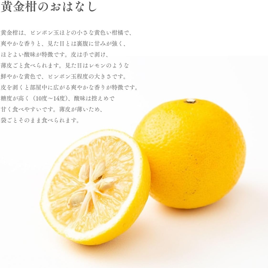 黄金柑 1kg／2kg／5kg おうごんかん 訳あり 愛媛県産