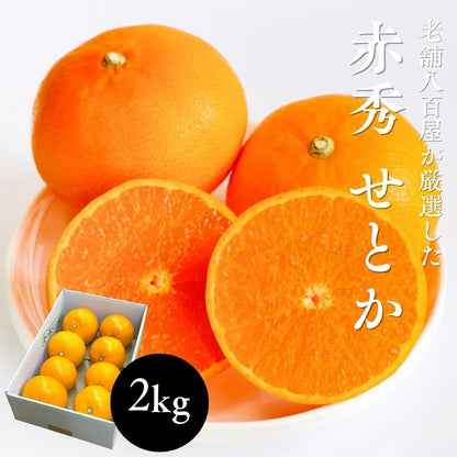 せとか 赤秀 愛媛県産 1kg ／2kg／5kg みかん 柑橘 ギフト