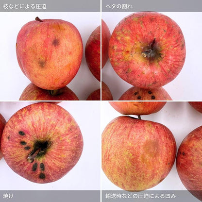 【光センサー選別品】 りんご 訳あり ご家庭用 キズあり 1kg/2kg/3kg/5kg10kg 長野県産 おまかせ品種 サンつがる シナノリップ シナノゴールド シナノスウィート シナノドルチェ 林檎 箱 リンゴ [みさわのやさい]