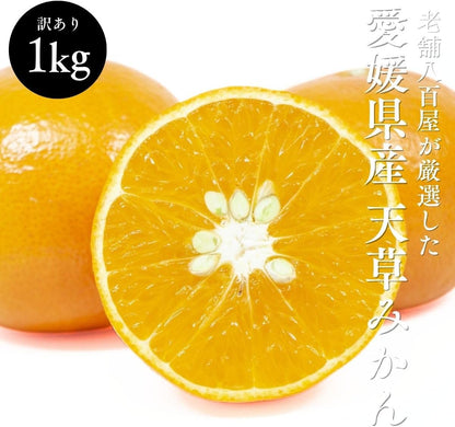 天草みかん 1kg／2kg／5kg あまくさ 訳あり みかん 愛媛県産 柔らかい