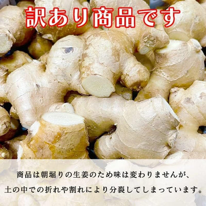 生姜 訳あり1kg/2kg 国産 大生姜 高知県産 ショウガ しょうが 野菜