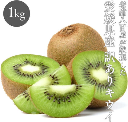 キウイ　ご家庭用　1kg／2kg／5kg　愛媛県産