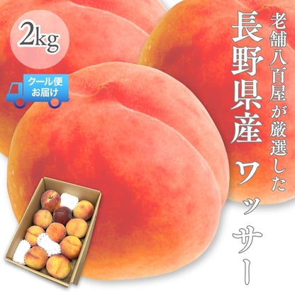 ワッサー1kg／2kg／ 4kg ＜クール便＞ 桃 訳あり ネクタリン 硬い桃 長野県産 果物 フルーツ 自宅用