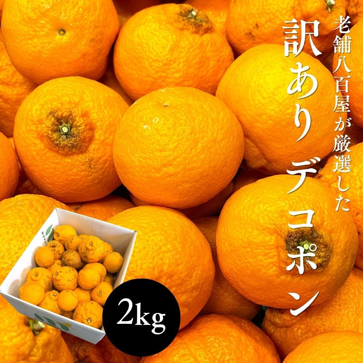 デコポン 訳あり 和歌山産2kg/5kg10kg 国産 (傷・変形・黒シミ・サイズ不揃い・サイズ偏りあり) でこぽん 不知火 しらぬい 柑橘 甘い 大玉 箱 みかん