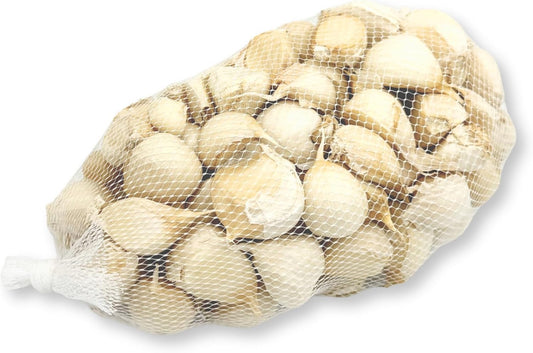にんにく 国産 青森県産 バラ 500g/1kg 訳あり 福地ホワイト六片種 ニンニク バラにんにく 粒 ＜メール便＞