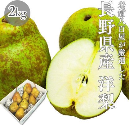 洋梨　ご家庭用　1kg／2kg／4kg／5kg　長野県産　【品種混在　品種お任せ(ラ・フランス　ル・レクチェ　オーロラ)】