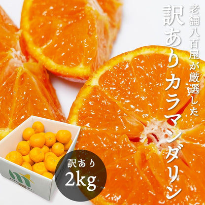 カラマンダリン　 ご家庭用　2kg／5kg／10kg　愛媛県産　【濃厚　ジューシー　スレ、汚れ、黒点あり】