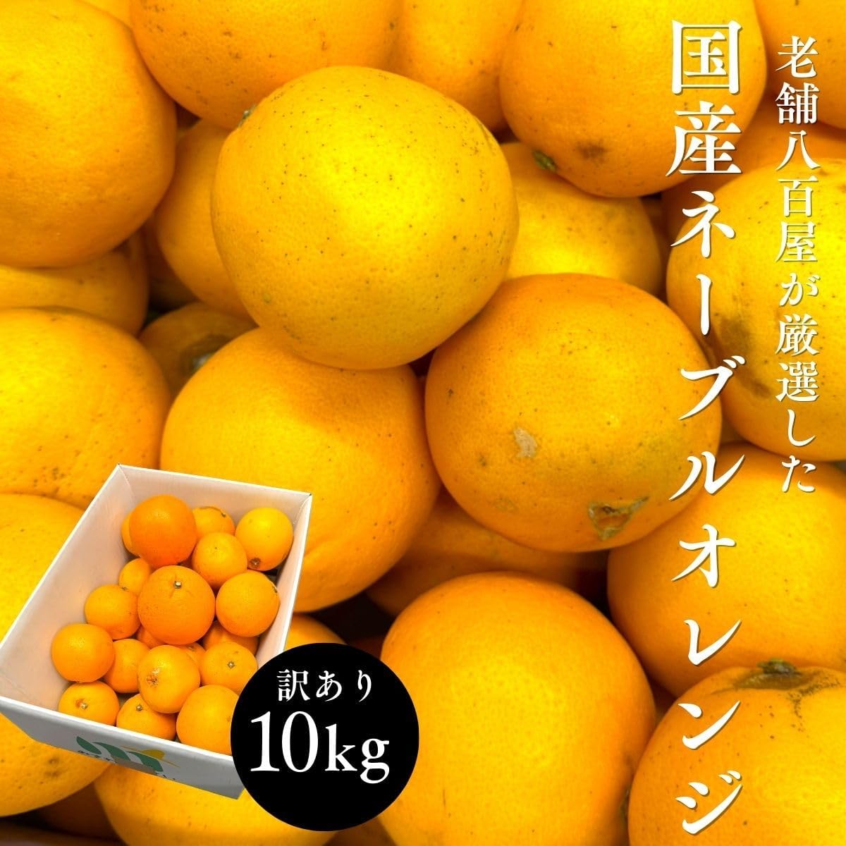 ネーブル オレンジ 国産 訳あり 広島県産 5kg／10kg 不揃い ヤケ傷あり