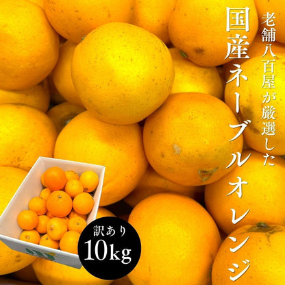 ネーブル オレンジ 国産 訳あり 広島県産 5kg／10kg 不揃い ヤケ傷あり