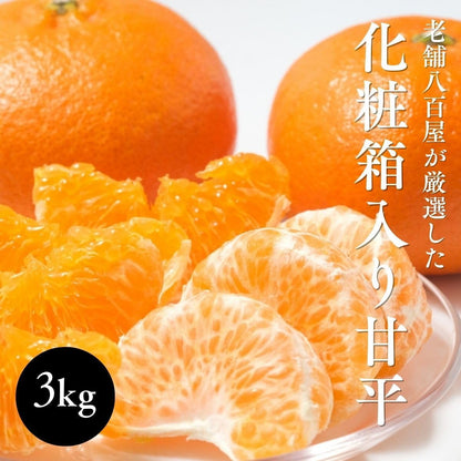 甘平みかん　贈答用　3kg　愛媛県産　【化粧箱入り】
