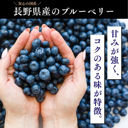 ブルーベリー　ご家庭用　1kg／2kg　長野県産