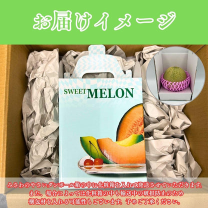 赤肉メロン　贈答用　1玉(1kg以上)　熊本県産　【クインシーメロン　大玉　化粧箱入り】