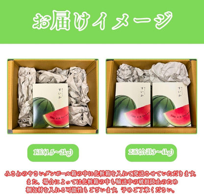 小玉スイカ　贈答用　1玉 (1.5～2kg)／2玉(合計3～4kg)　熊本県産　【化粧箱入り】