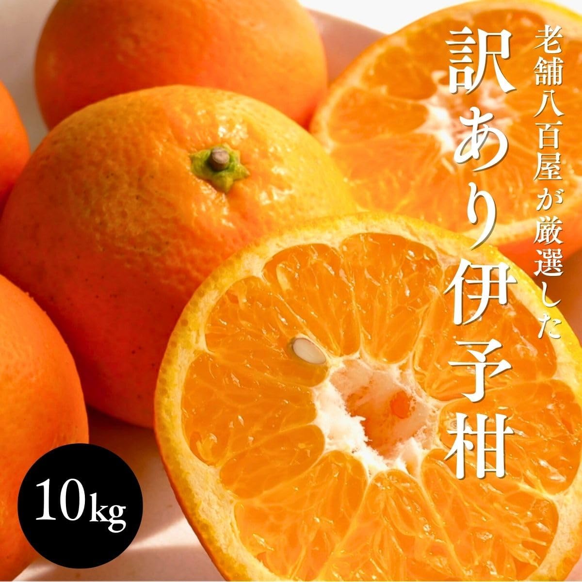 いよかん 訳あり 5kg／10kg 伊予柑 愛媛県産 サイズお任せ スレ 汚れ 黒点あり