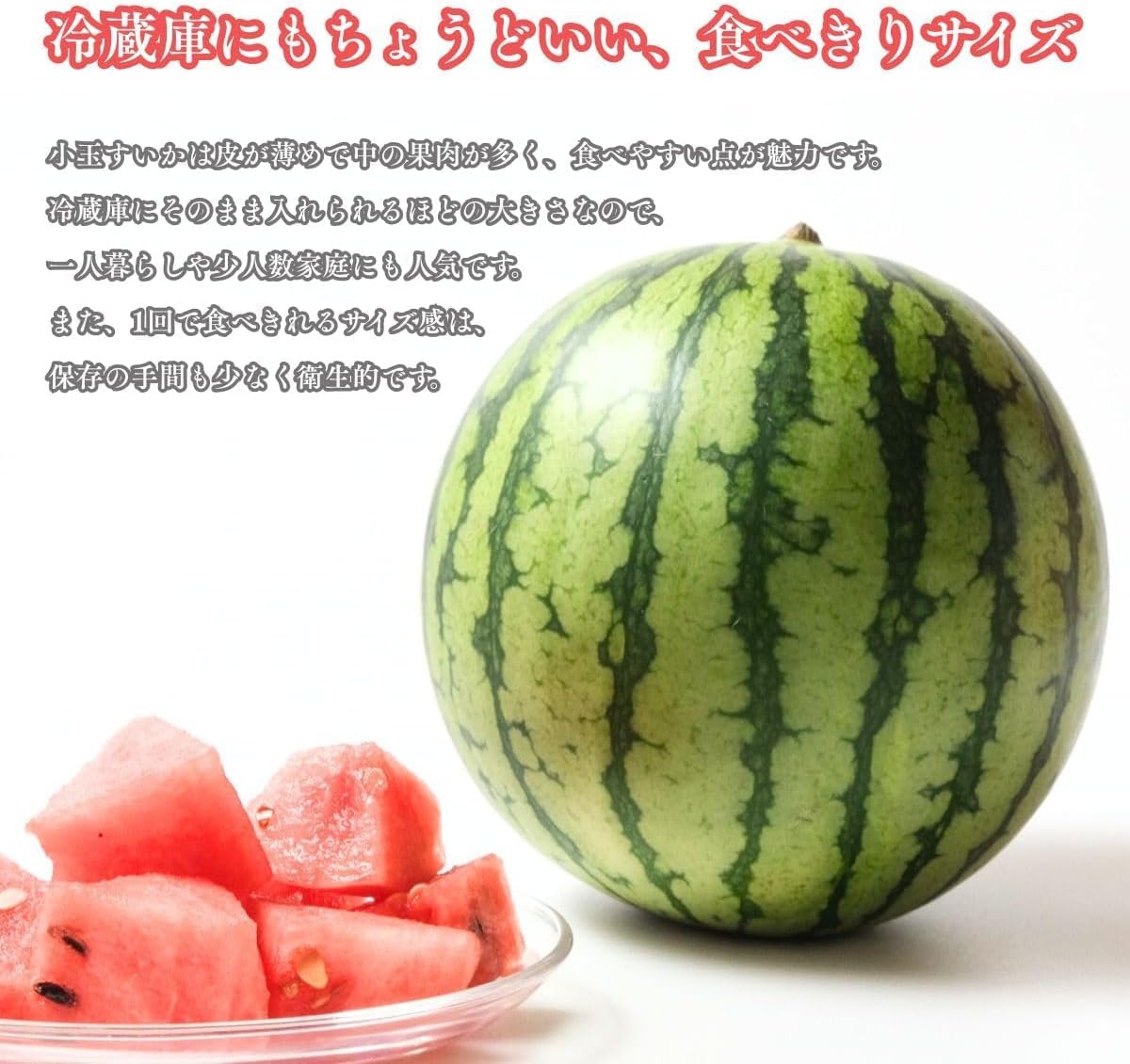 小玉スイカ　贈答用　1玉 (1.5～2kg)／2玉(合計3～4kg)　熊本県産　【化粧箱入り】