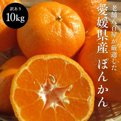 ぽんかん　ご家庭用　5kg／10kg　愛媛県産　【スレ、汚れ、黒点あり】