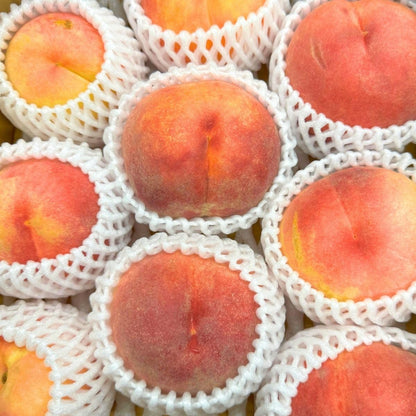 桃 訳あり もも ＜クール便＞   1kg (4玉前後)／2kg (8玉前後) ／3kg (8-15玉)／5kg (16玉-21玉) ご家庭用 果物桃 ピーチ モモ