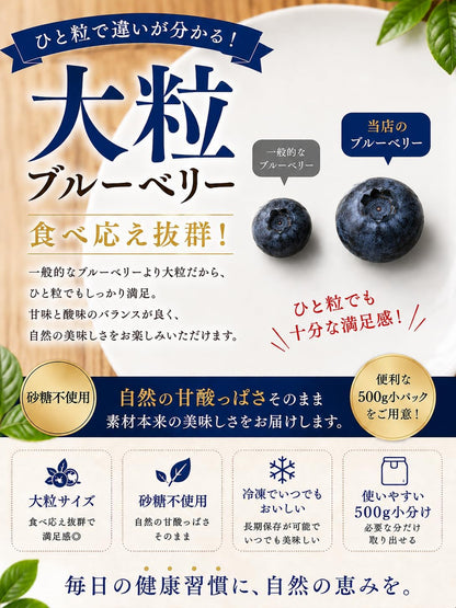 冷凍ブルーベリー