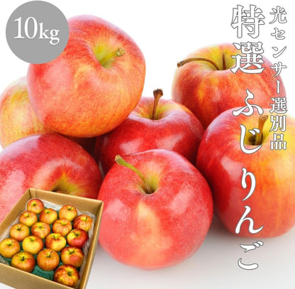 特選ふじりんご　2kg／5kg／10kg　 長野県産・その他　【 糖度13.5度以上　光センサー選別品】