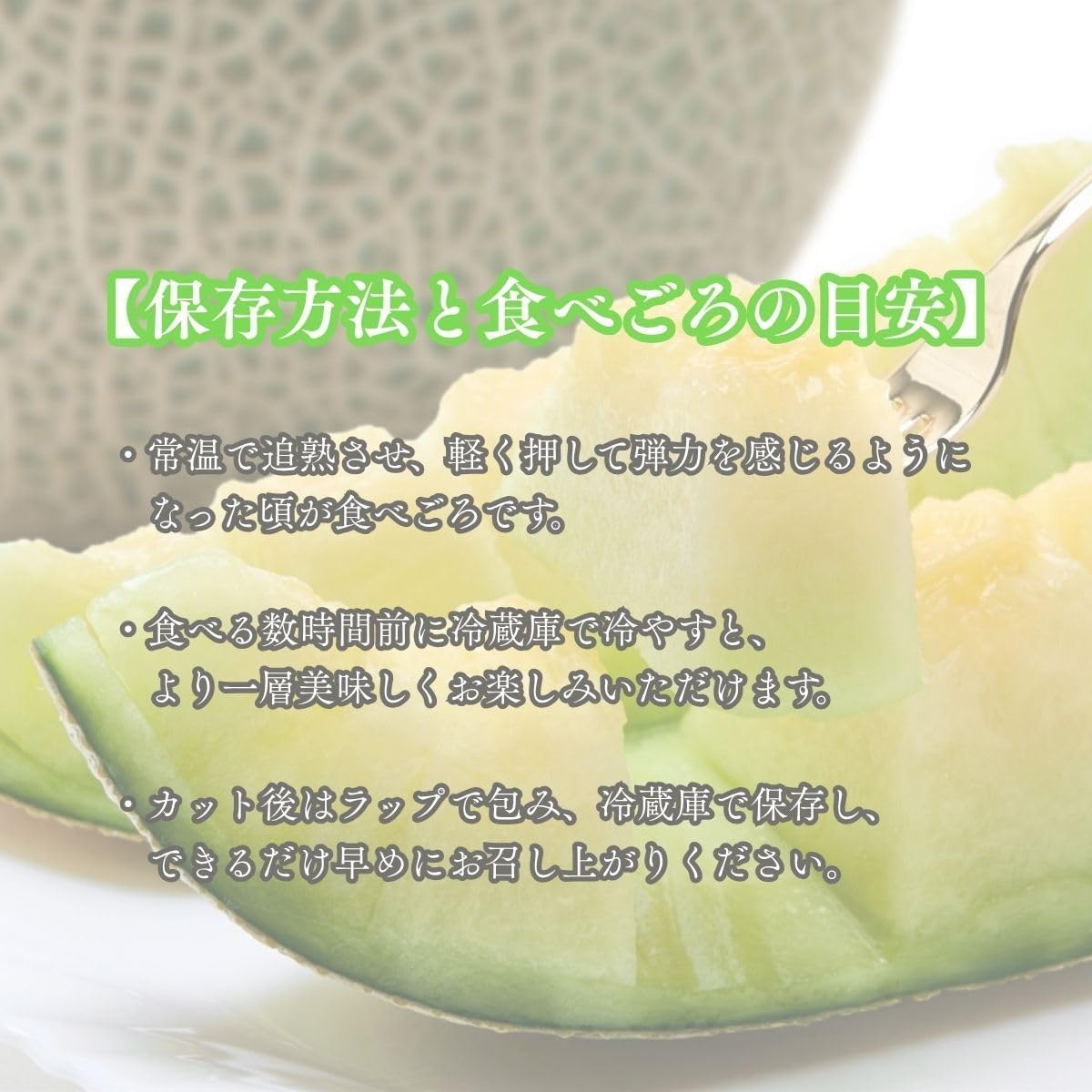 青肉メロン　贈答用　1玉(1kg以上)　熊本県産　【アンデスメロン・タカミメロン・肥後グリーンのいずれか　大玉　化粧箱入り】