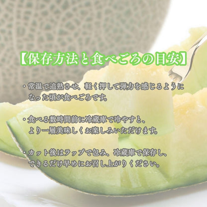 青肉メロン　贈答用　1玉(1kg以上)　熊本県産　【アンデスメロン・タカミメロン・肥後グリーンのいずれか　大玉　化粧箱入り】