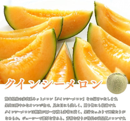 赤肉メロン　贈答用　1玉(1kg以上)　熊本県産　【クインシーメロン　大玉　化粧箱入り】