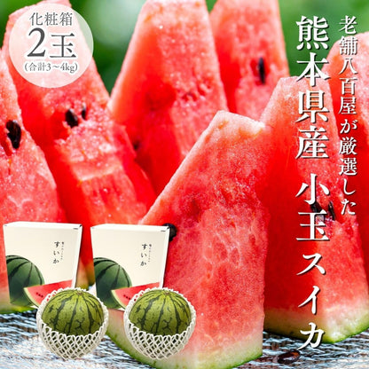 小玉スイカ　贈答用　1玉 (1.5～2kg)／2玉(合計3～4kg)　熊本県産　【化粧箱入り】