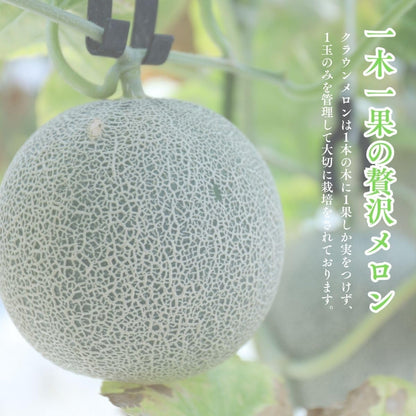 メロン 静岡クラウンメロン 1玉（1.1kg前後）化粧箱入り ギフト 贈答 静岡県産  くらうんめろん