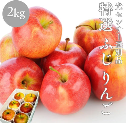 特選ふじりんご　2kg／5kg／10kg　 長野県産・その他　【 糖度13.5度以上　光センサー選別品】