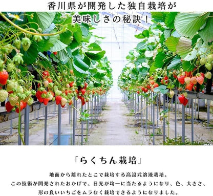 いちご　さぬきひめ　270g 2パック　香川県産【デラックス　クール便対応】