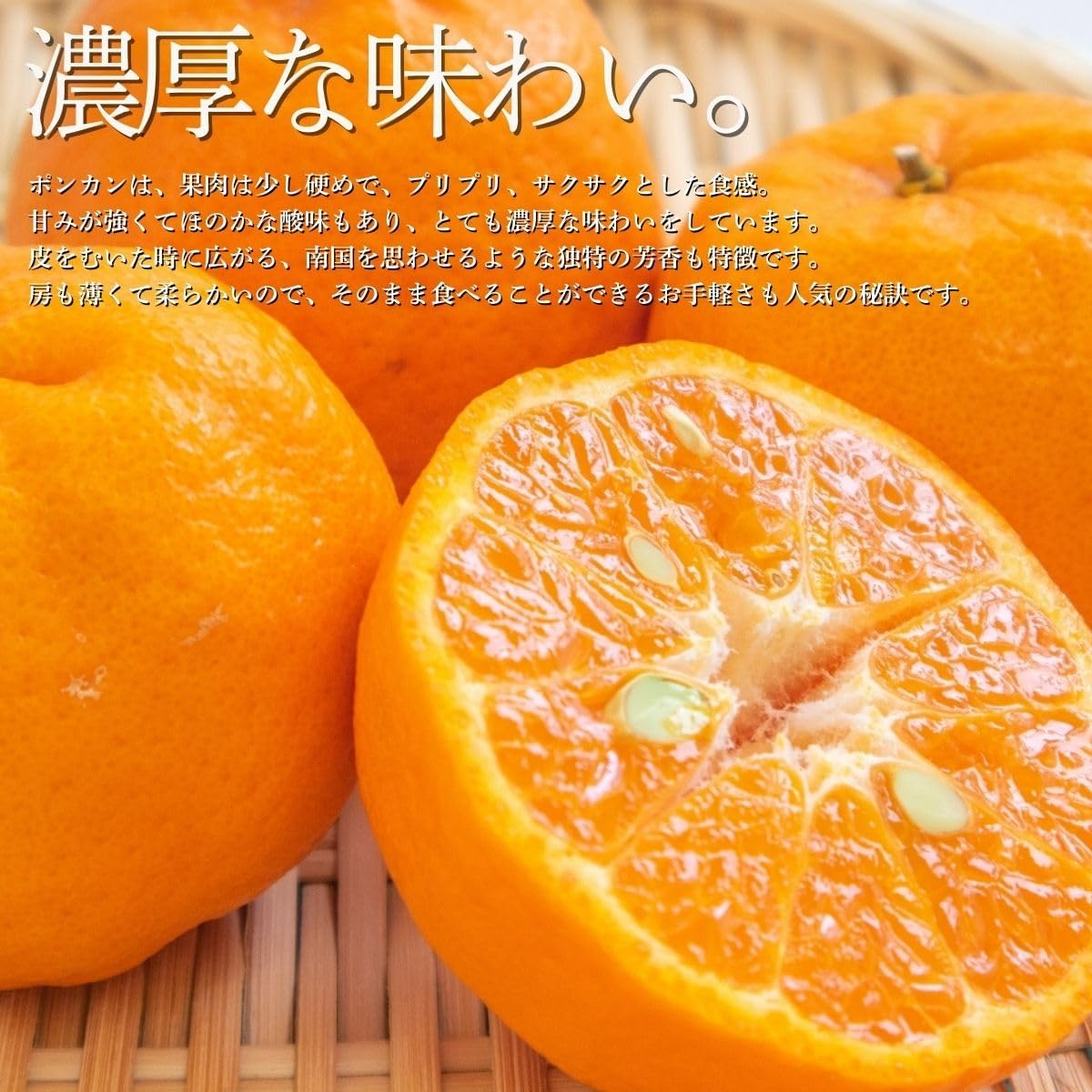 ぽんかん　ご家庭用　5kg／10kg　愛媛県産　【スレ、汚れ、黒点あり】