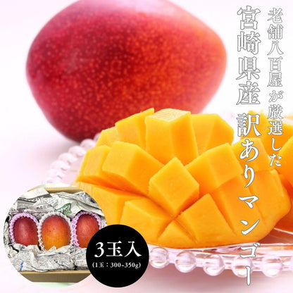 マンゴー ギフト 鑑定書付き 赤秀 完熟 宮崎県 大玉 2Lサイズ 350g x2玉 化粧箱／ ＜ とろけるようなマンゴー 訳あり ご家庭用 宮崎県 完熟  3玉入り(1玉：約300〜350g) 簡易梱包 サイズばらつきあり 果実 みやざき甘さと食感 ＞