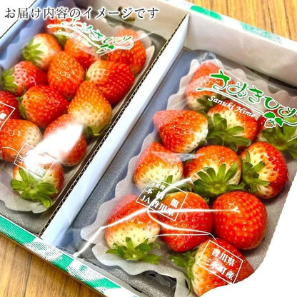 いちご　さぬきひめ　270g 2パック　香川県産【デラックス　クール便対応】