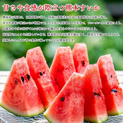 すいか　贈答用　1玉(4kg以上)／2玉(合計約10kg)　熊本県産　【化粧箱入り】