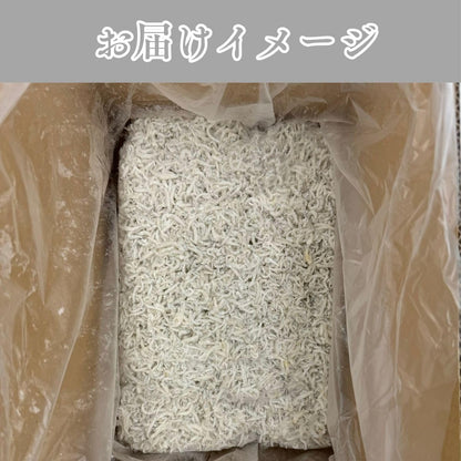 ちりめんじゃこ 国産 1kg 太白ちりめん (柔らか食感のちりめん) 冷凍 瀬戸内海産