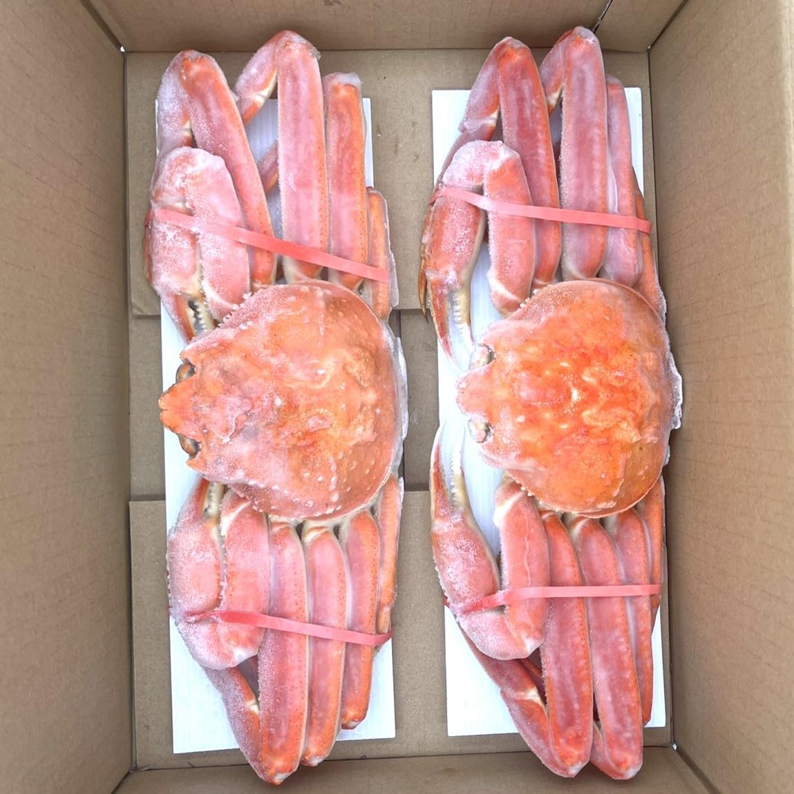 ボイル ズワイガニ 姿 約 1kg ( 約500g サイズ × 2杯 入り ) カナダ産 冷凍