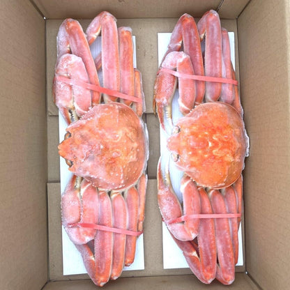 ボイル ズワイガニ 姿 約 1kg ( 約500g サイズ × 2杯 入り ) カナダ産 冷凍