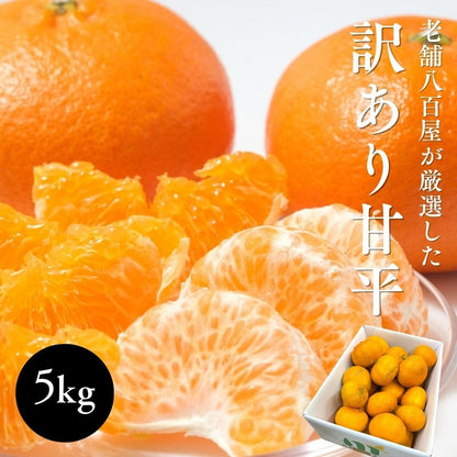 甘平みかん　ご家庭用　2kg／5kg　愛媛県産　【スレ、汚れ、黒点あり】