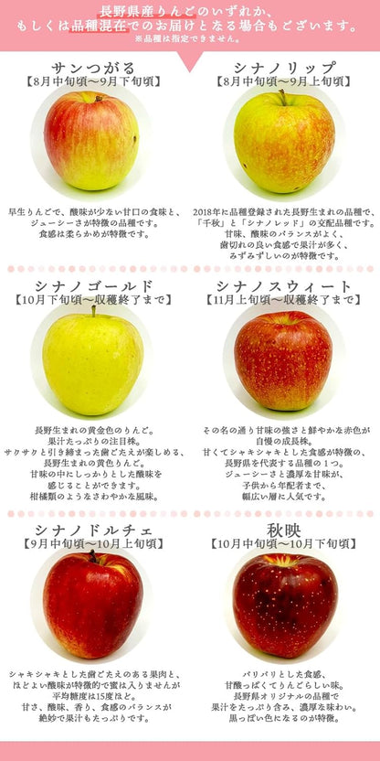 【光センサー選別品】 りんご 訳あり ご家庭用 キズあり 1kg/2kg/3kg/5kg10kg 長野県産 おまかせ品種 サンつがる シナノリップ シナノゴールド シナノスウィート シナノドルチェ 林檎 箱 リンゴ [みさわのやさい]