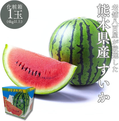 すいか　贈答用　1玉(4kg以上)／2玉(合計約10kg)　熊本県産　【化粧箱入り】