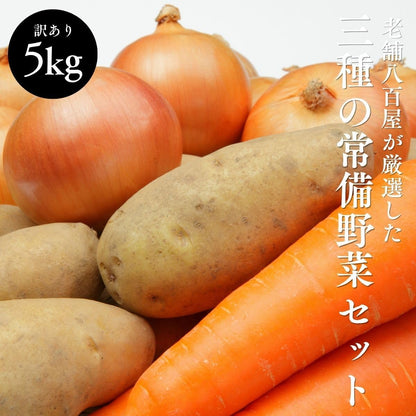 常備 野菜セット 国産 5kg 3種( 人参 玉ねぎ じゃがいも [ メークイン ]) 訳あり 詰め合わせ やさい 定番 万能 ご家庭用 サイズ・個数変動あり