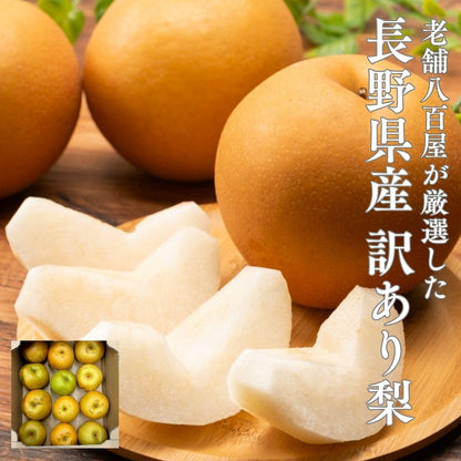 梨　ご家庭用　 3kg／5kg／10kg　長野県産　【品種お任せ（幸水 豊水 南水等のいずれか）】