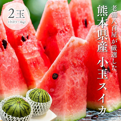 小玉西瓜 すいか 熊本県産 1玉（1.5～2kg） 2玉（合計3～4kg） 完熟