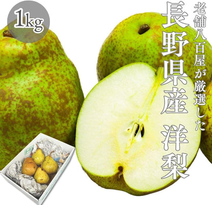 洋梨　ご家庭用　1kg／2kg／4kg／5kg　長野県産　【品種混在　品種お任せ(ラ・フランス　ル・レクチェ　オーロラ)】